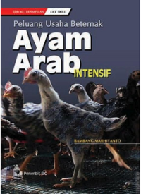 Image of Ayam Arab