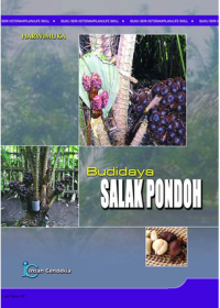 Image of Budidaya Salak Pondoh